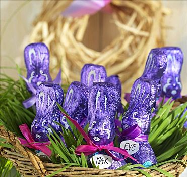 紫色,巧克力,兔子,复活节草巢