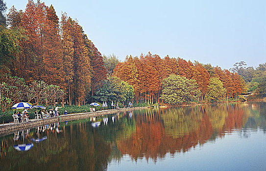 广州,麓湖公园