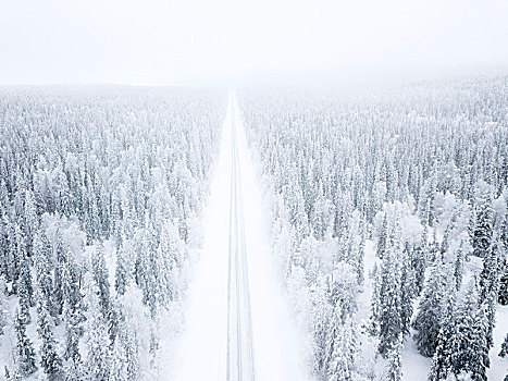 俯视图,道路,积雪,树林,国家公园,拉普兰,芬兰