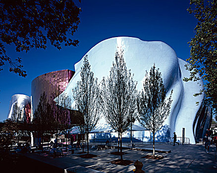 西雅图,华盛顿,美国,2000年,博物馆,房子,收集