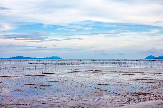 江门银湖湾湿地风光