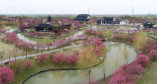 江苏省盐城市大丰区梅花湾景区