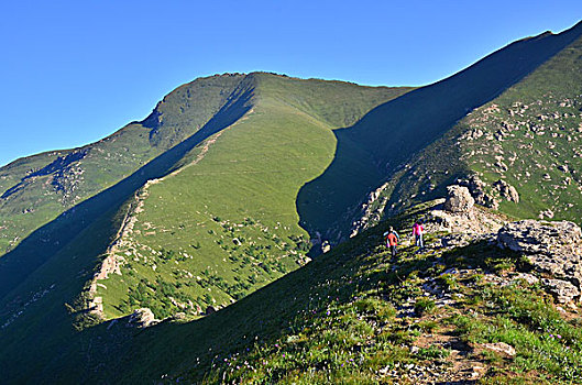 茶山美