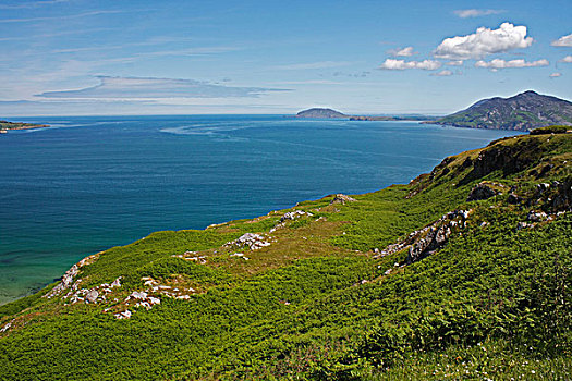海崖,靠近,多纳格,爱尔兰
