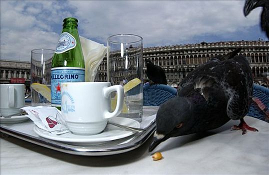 石头,鸽子,桌子,街头咖啡馆,靠近,浓咖啡,矿泉水,地点,威尼斯,意大利