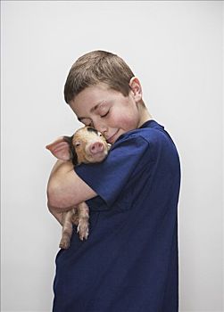 男孩,搂抱,小猪