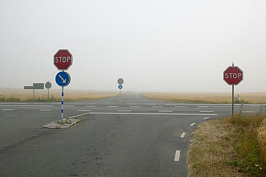 乡村,交叉路,雾