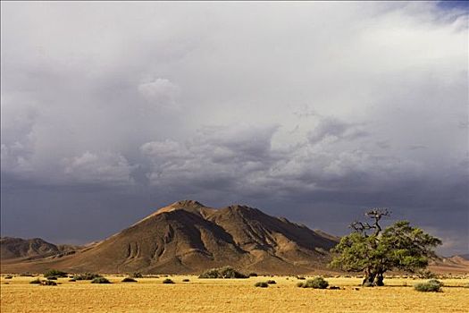 雷暴,山峦,农场,纳米比亚