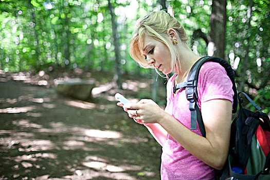 女人,树林,看,智能手机