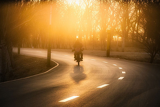 夕阳洒满小路