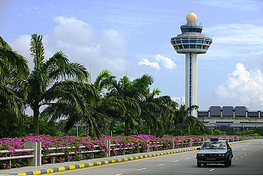 汽车,开走,机场,新加坡