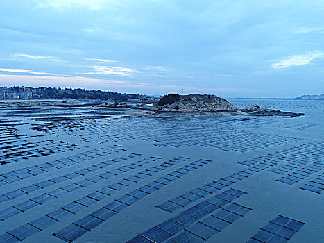 紫菜养殖基地