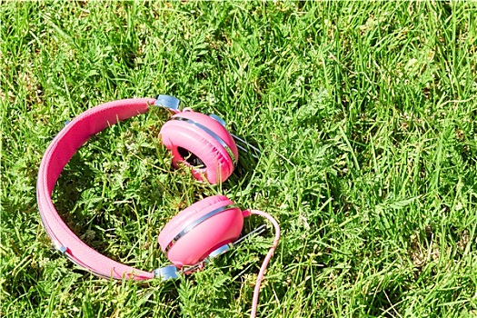 鲜明,彩色,粉色,耳机,夏天,林间空地