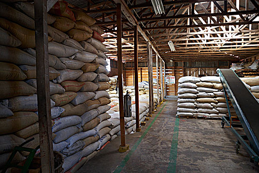 包,咖啡豆,仓库,哥斯达黎加