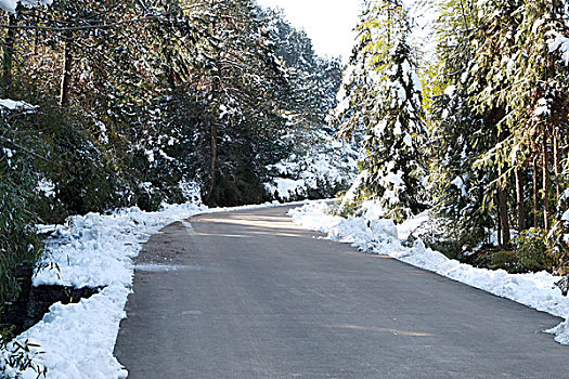 雪山道路