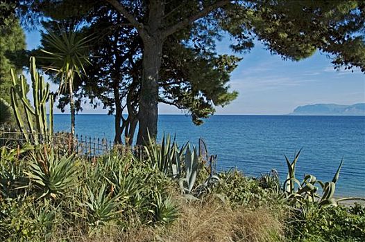 海边风景,国家公园,西西里,意大利