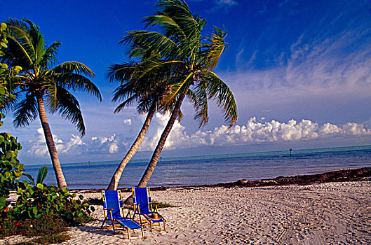 美国,佛罗里达,佛罗里达礁岛群,棕榈树,沙滩椅