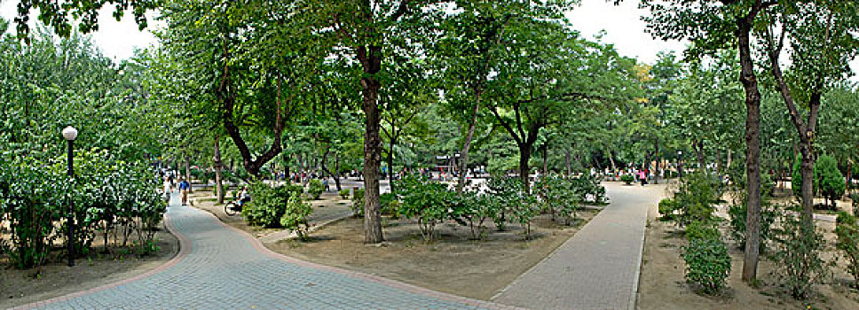 兴化公园