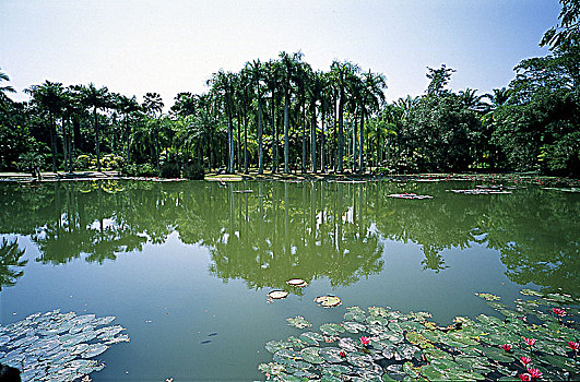 云南省西双版纳州勐仑植物园