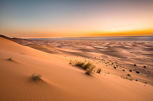 沙丘,日出,却比沙丘,梅如卡,撒哈拉沙漠,摩洛哥,非洲