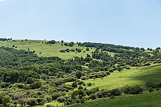 达达线风景