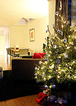 装饰,圣诞树,客厅