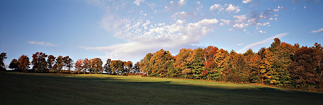 美国,佛蒙特州,秋日树林,大幅,尺寸