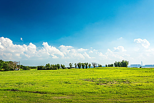 绿色,草地,蓝天,云