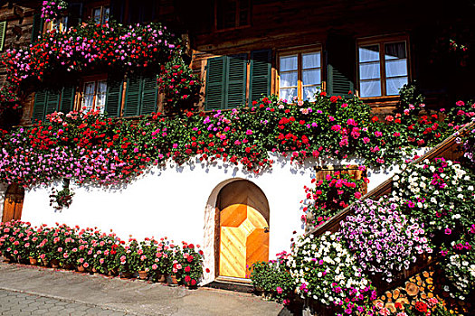 瑞士,漂亮,花,木房子,著名,胜地,区域,靠近