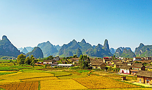 秋季成熟的稻田田园村庄景观背景