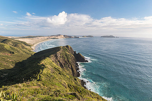 岩石海岸,雷因格海角,北国,北岛,新西兰,大洋洲
