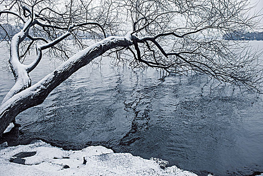 西湖雪景