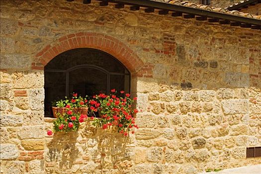盆栽,窗,窗台,蒙特利格奥尼,锡耶纳省,托斯卡纳,意大利