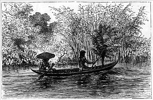 独木舟,河,圭亚那,19世纪,艺术家