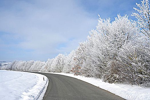 道路,风景,冬天,普拉蒂纳特,巴伐利亚,德国
