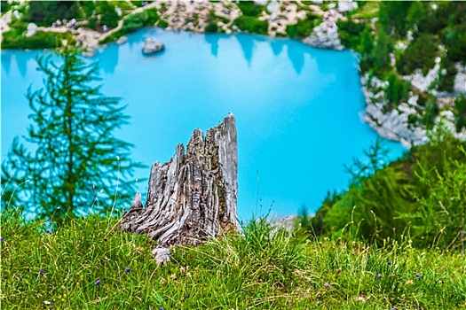 青绿色,湖,松树,多洛迈特山,背影,电路,白云岩,意大利,欧洲