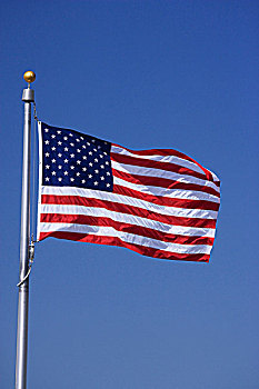 美国,华盛顿,一个,美国国旗,华盛顿纪念碑