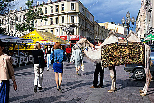 俄罗斯,莫斯科,老,街道,街景,骆驼