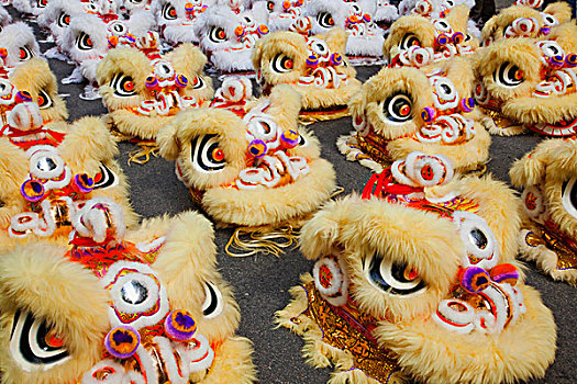 中国狮子,头部,传统,狮子,跳舞,香港,中国