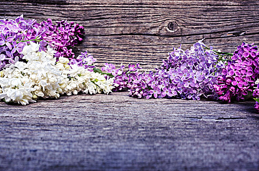 白色,紫色,丁香,木头