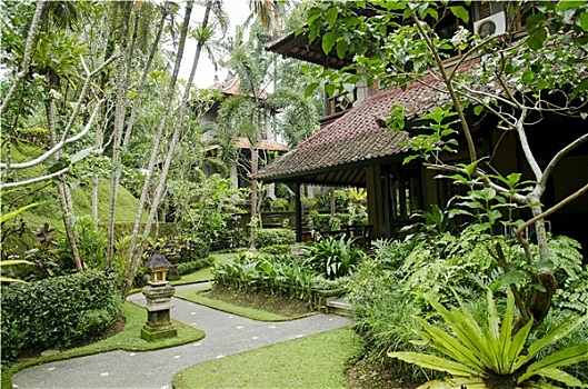 热带,花园,乌布,巴厘岛,印度尼西亚