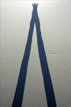 影子,一个人,长腿,沙滩,戈壁沙漠,国家公园,蒙古