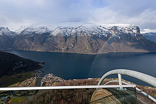 风景,注视,枝条,迟,冬天,挪威