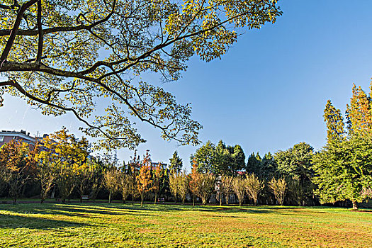 公園