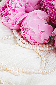 粉色,牡丹,珍珠,白色背景,蕾丝,背景