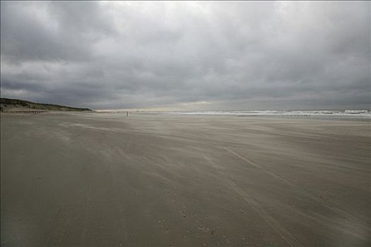 海滩,北海,靠近,荷兰南部,荷兰