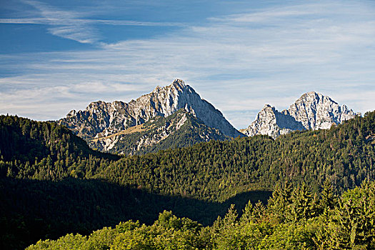 山峰,山,树林,德国