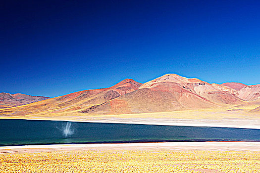 智利,阿塔卡马沙漠,高原,泻湖