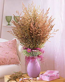 花瓶,褶皱,丝石竹属植物