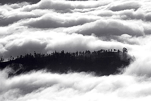 冬天,山麓,喜马拉雅山,上升,云,雾,印度,2005年